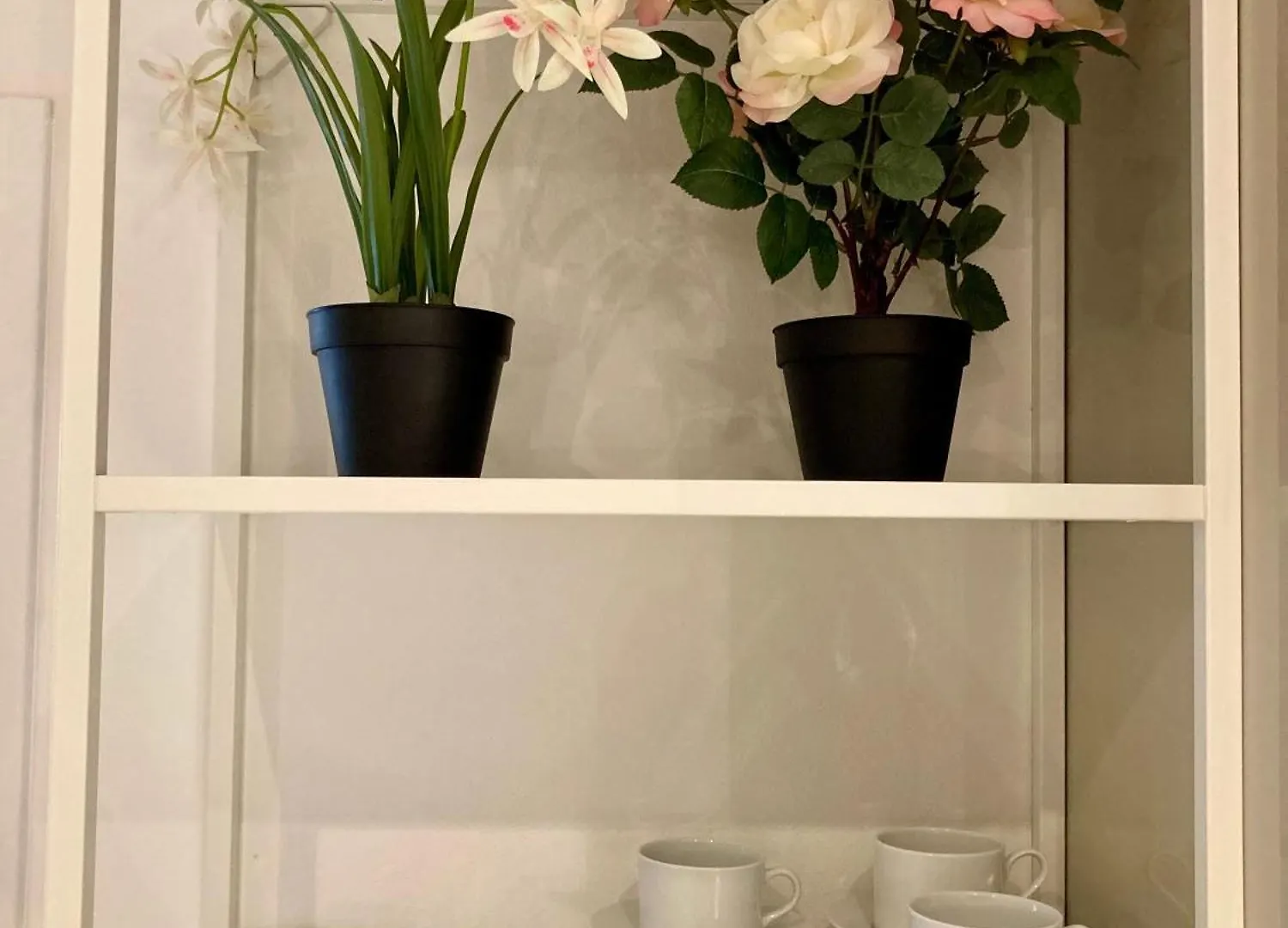 Petrarca Apartment Deluxe Padova Italia